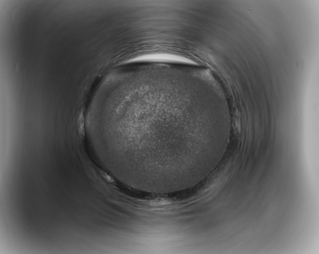 X0000088730551200705311431