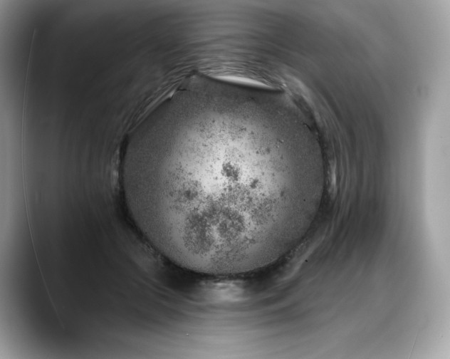 X0000088730553200705311431