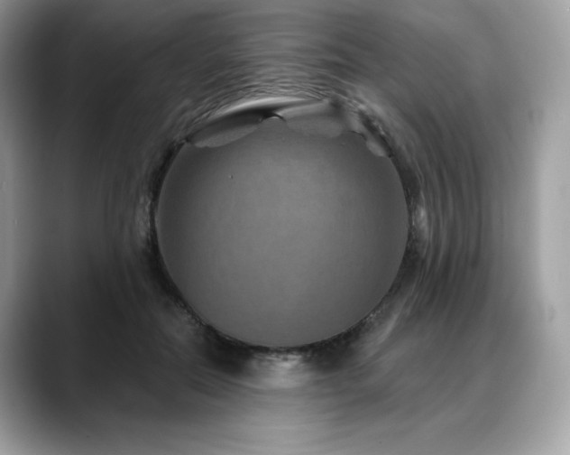 X0000088730554200705311431