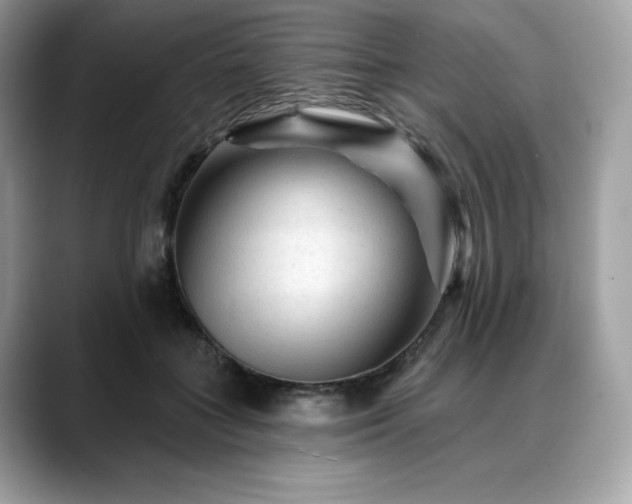 X0000088730555200705311431