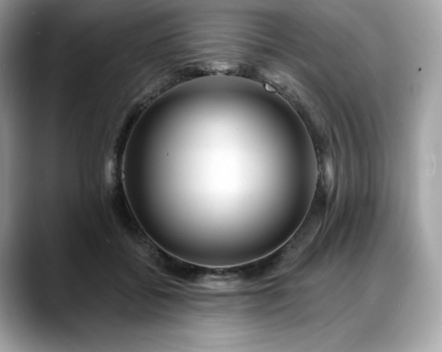 X0000088730556200705311431