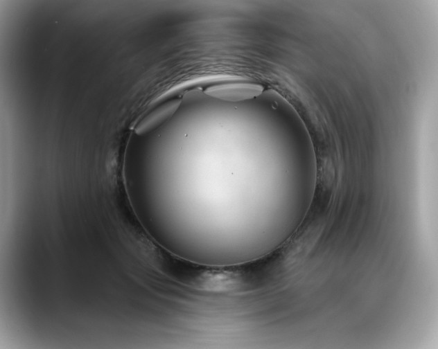 X0000088730557200705311431
