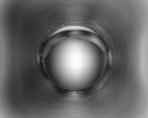 X0000088730558200705311431