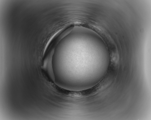 X0000088730559200705311431