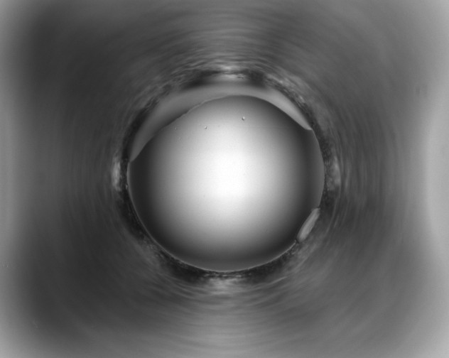 X0000088730560200705311431