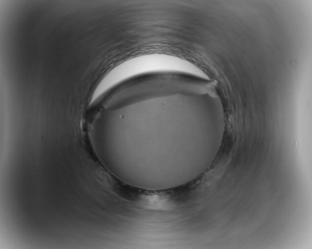 X0000088730561200705311431