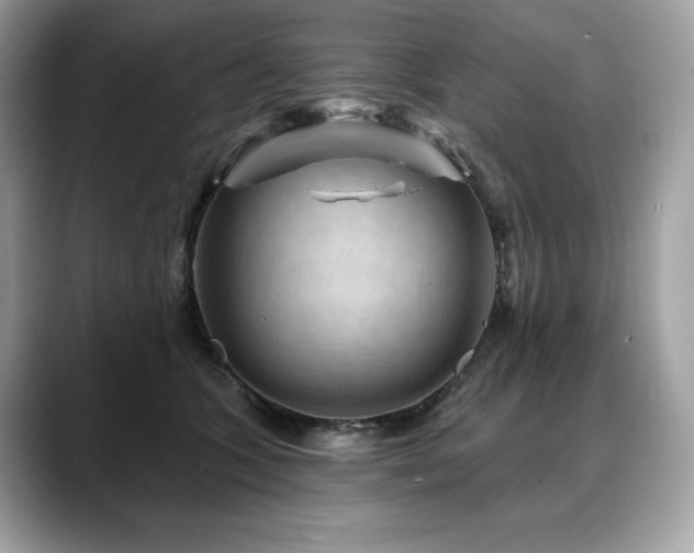 X0000088730563200705311431