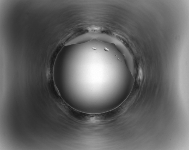 X0000088730564200705311431