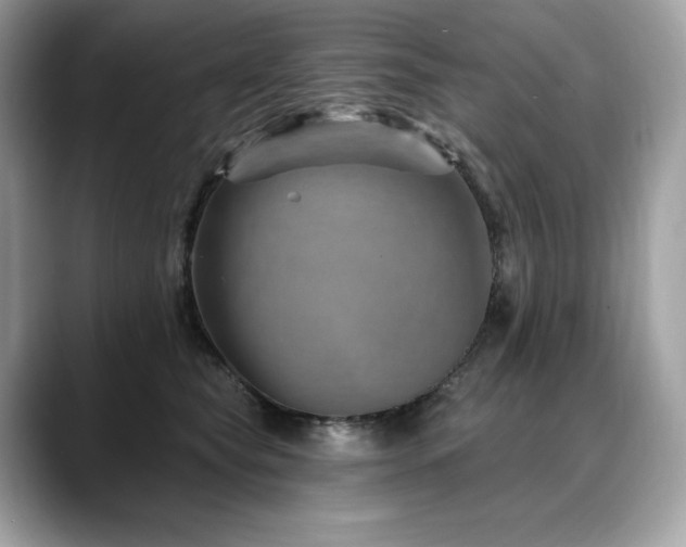 X0000088730565200705311431