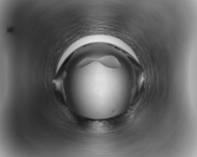 X0000088730566200705311431