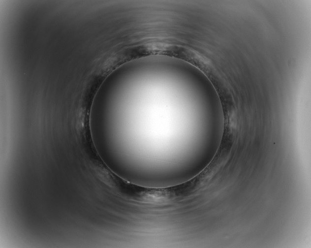 X0000088730567200705311431