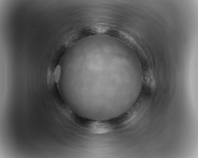 X0000088730568200705311431