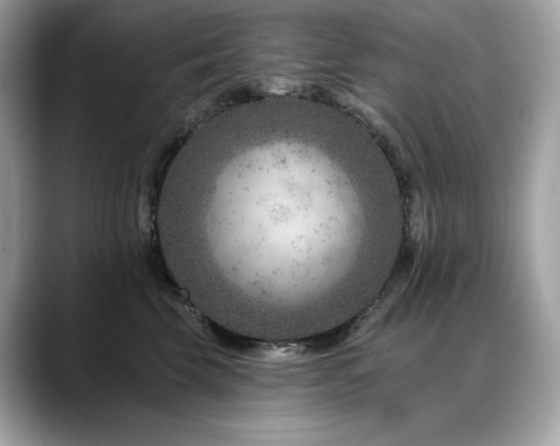 X0000088730569200705311431