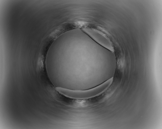 X0000088730570200705311431