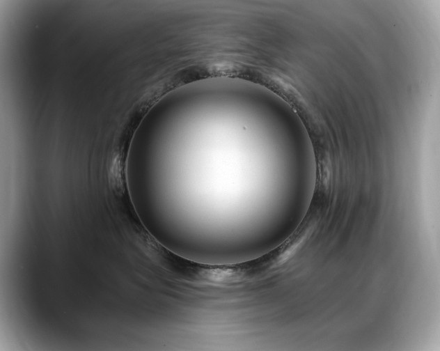 X0000088730575200705311431