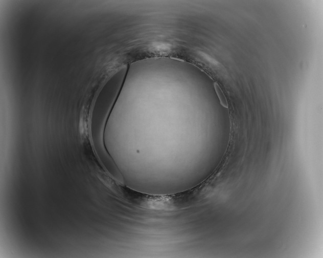 X0000088730576200705311431