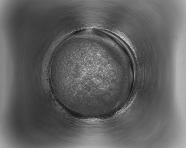 X0000088730577200705311430