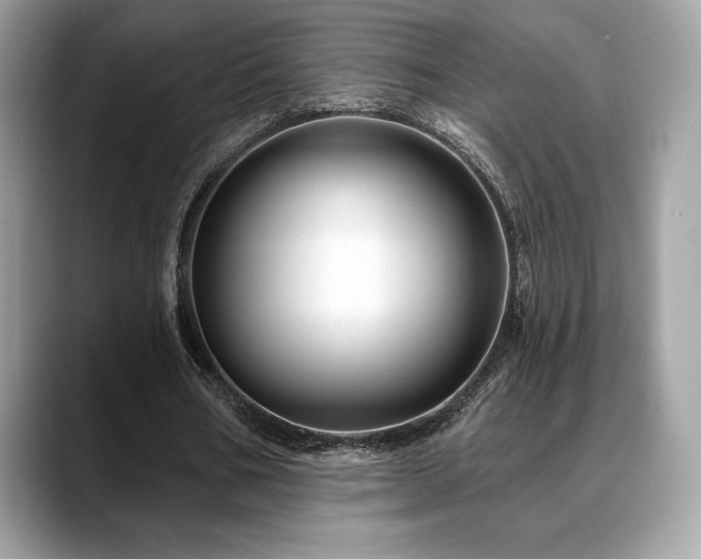 X0000088730578200705311430
