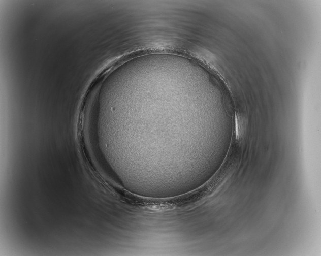 X0000088730579200705311430