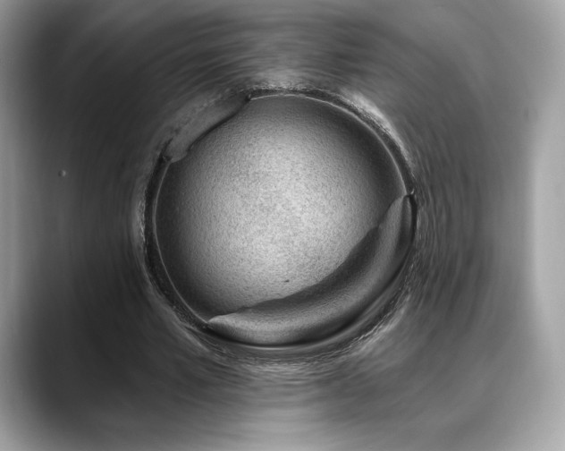 X0000088730581200705311430