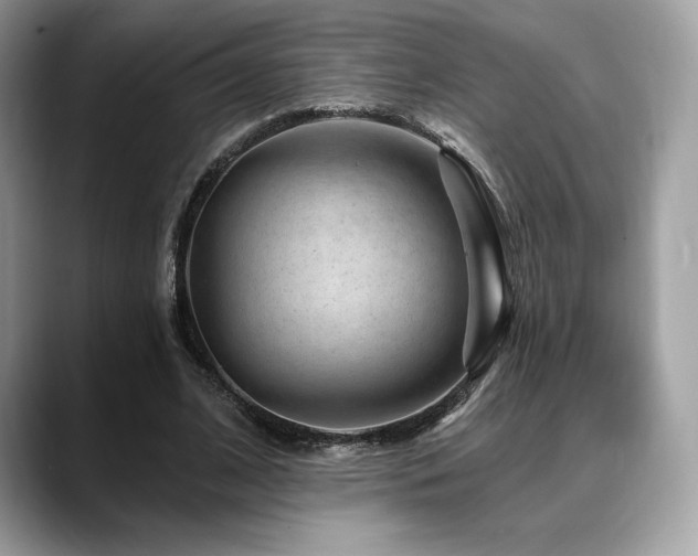 X0000088730584200705311430