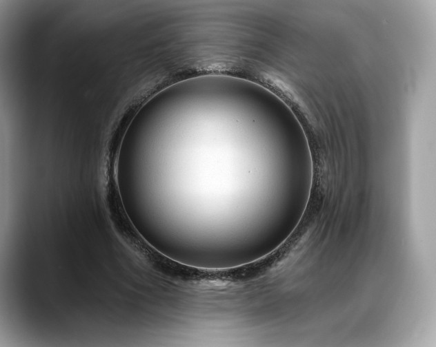 X0000088730586200705311430
