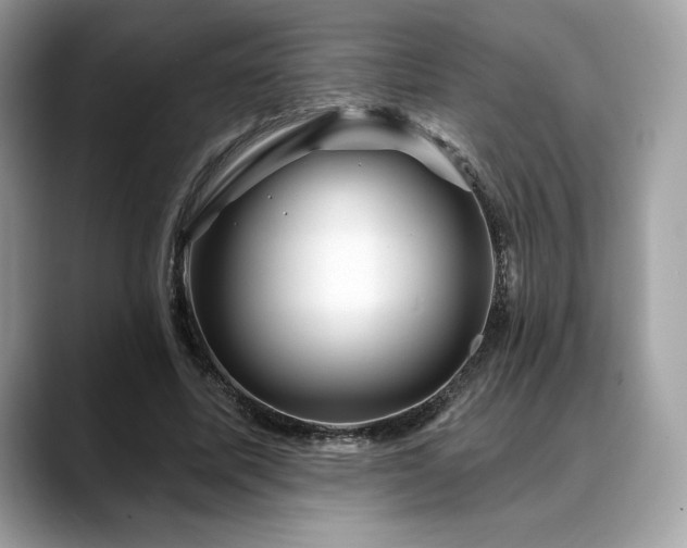 X0000088730587200705311430