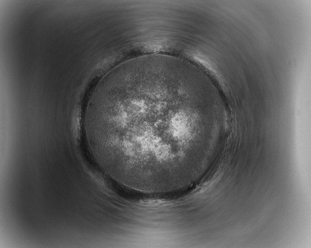 X0000088730590200705311430