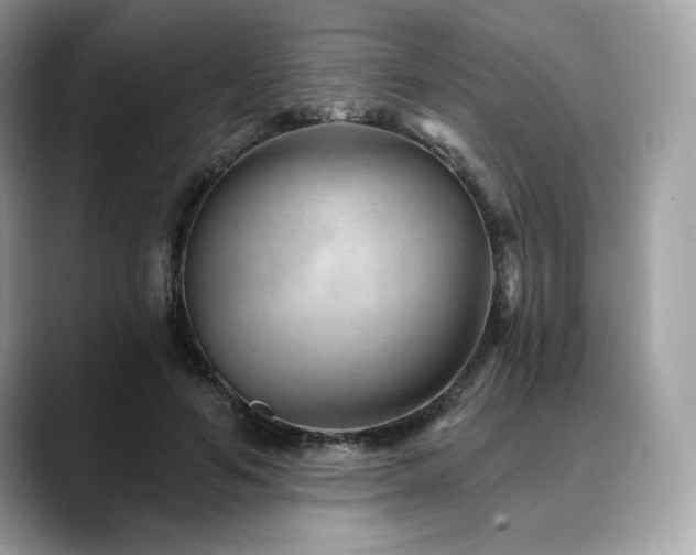 X0000088730594200705311430