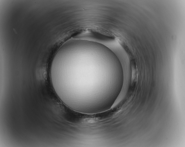 X0000088730595200705311430