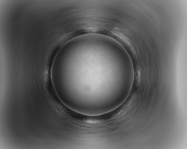 X0000088730596200705311430
