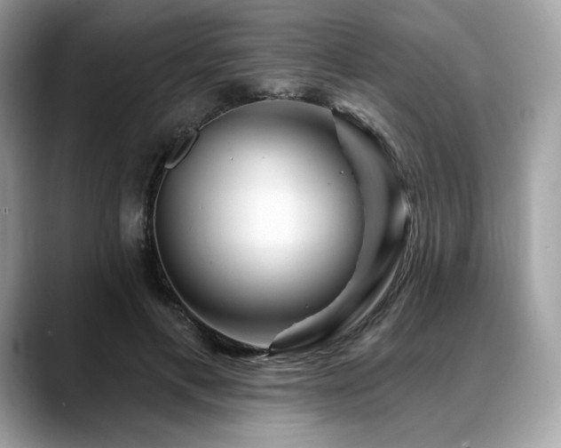 X0000088730597200705311430