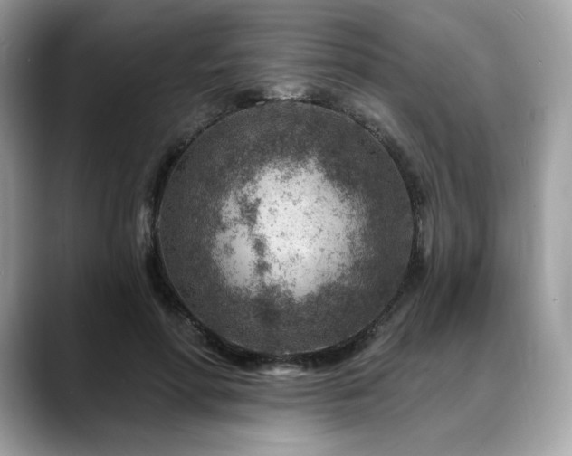 X0000088730598200705311430