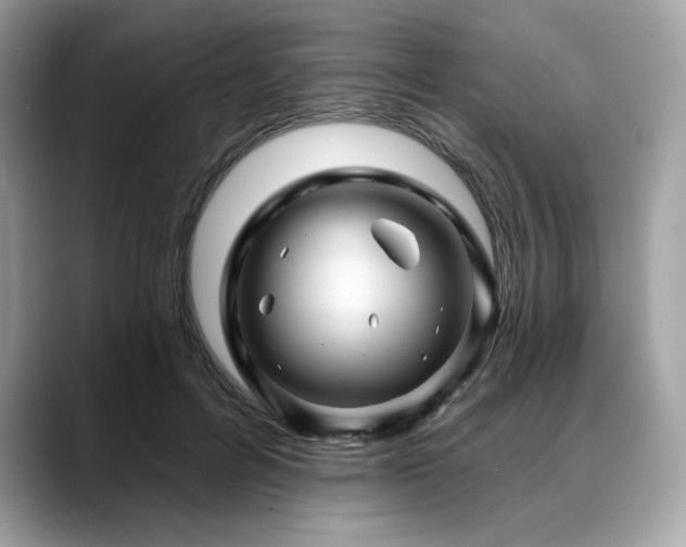 X0000088730600200705311430