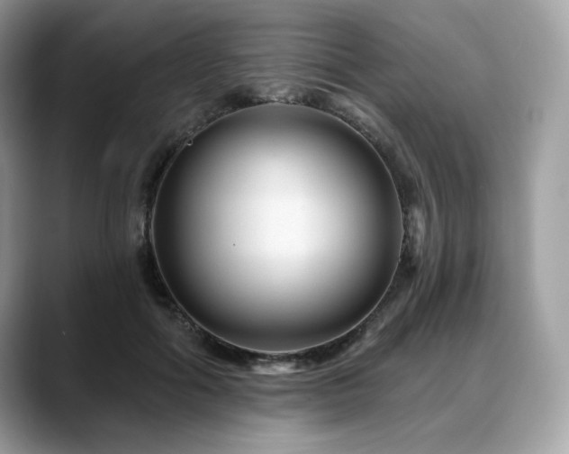 X0000088730602200705311430