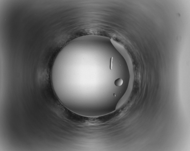 X0000088730603200705311430