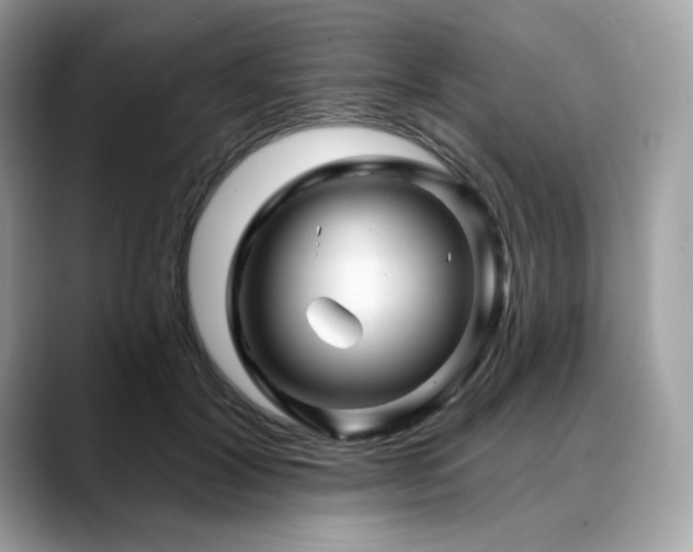 X0000088730604200705311430