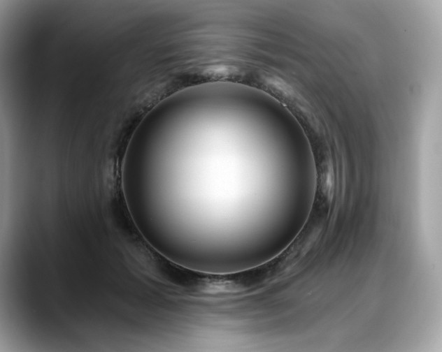X0000088730605200705311430