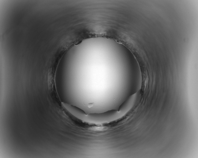 X0000088730609200705311430