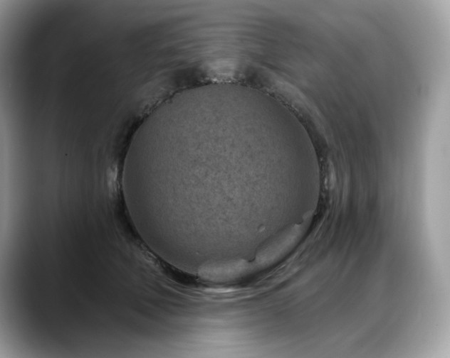 X0000088730610200705311430