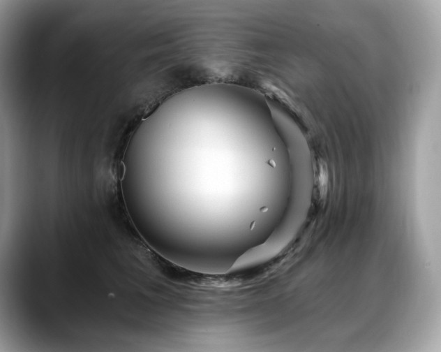 X0000088730613200705311430