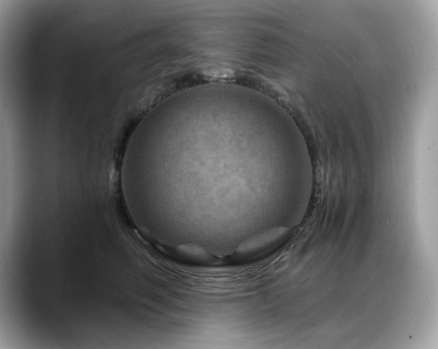 X0000088730614200705311430