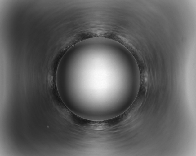 X0000088730615200705311430