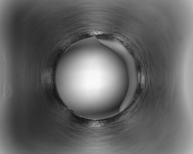 X0000088730616200705311430