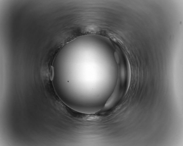 X0000088730617200705311430