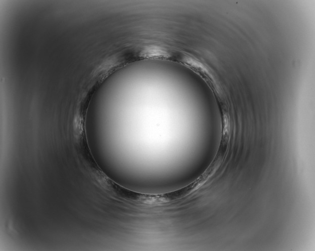 X0000088730621200705311430