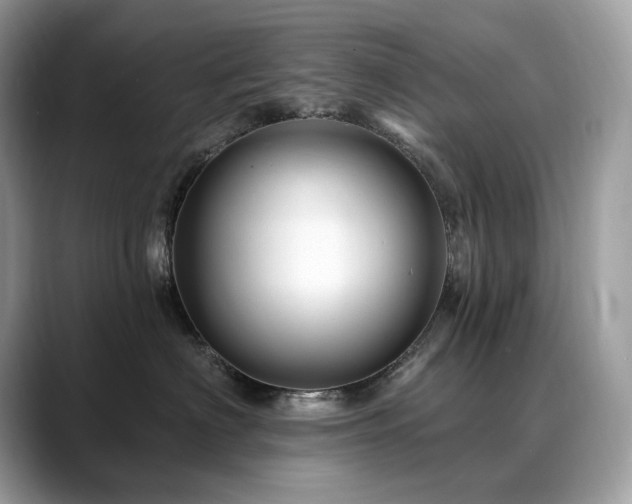 X0000088730622200705311430