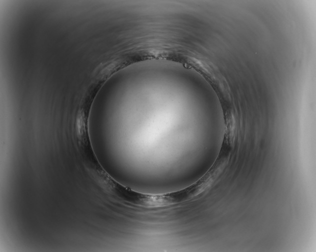 X0000088730623200705311430