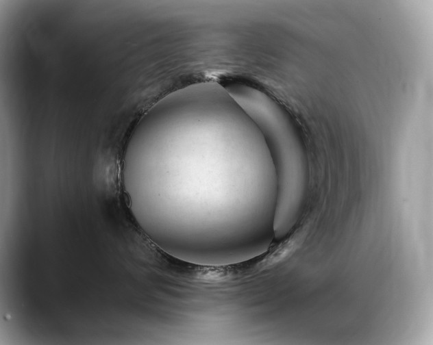 X0000088730624200705311430
