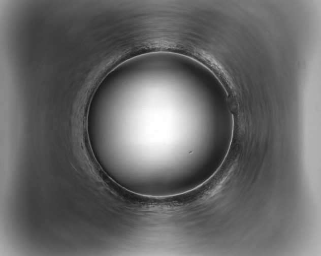 X0000088730625200705311429